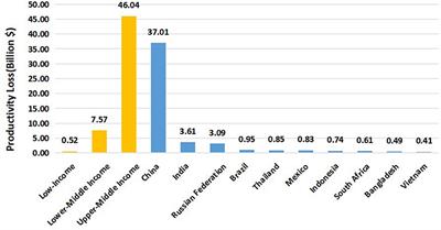 Potential productivity loss from uncorrected and under-corrected presbyopia in low- and middle-income countries: A life table modeling study